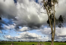 切沃队伍状态回升，期待下一场胜利