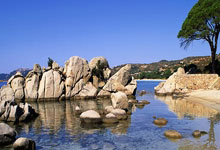 热那亚爆冷战胜拜仁慕尼黑，实现大逆转