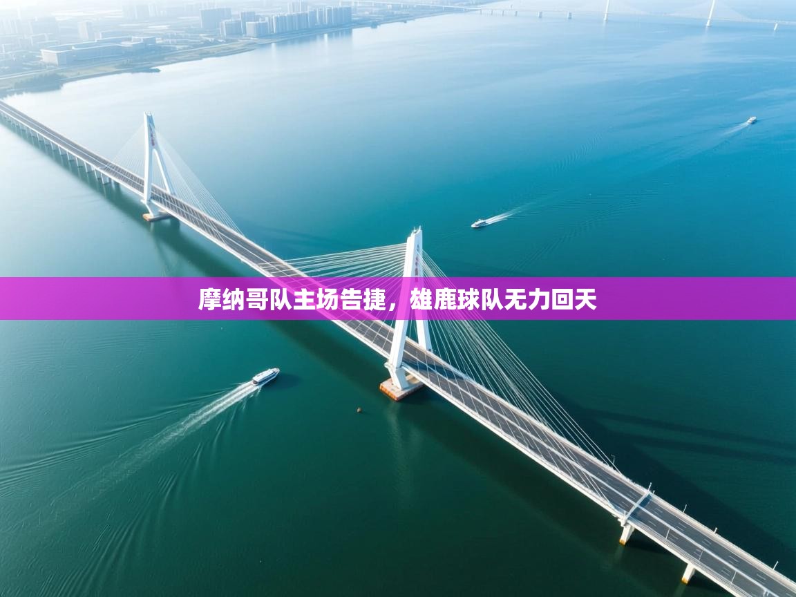 摩纳哥队主场告捷,雄鹿球队无力回天 第2张