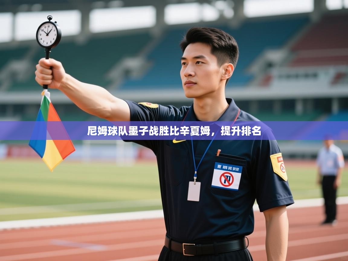 尼姆球队墨子战胜比辛夏姆，提升排名  第1张