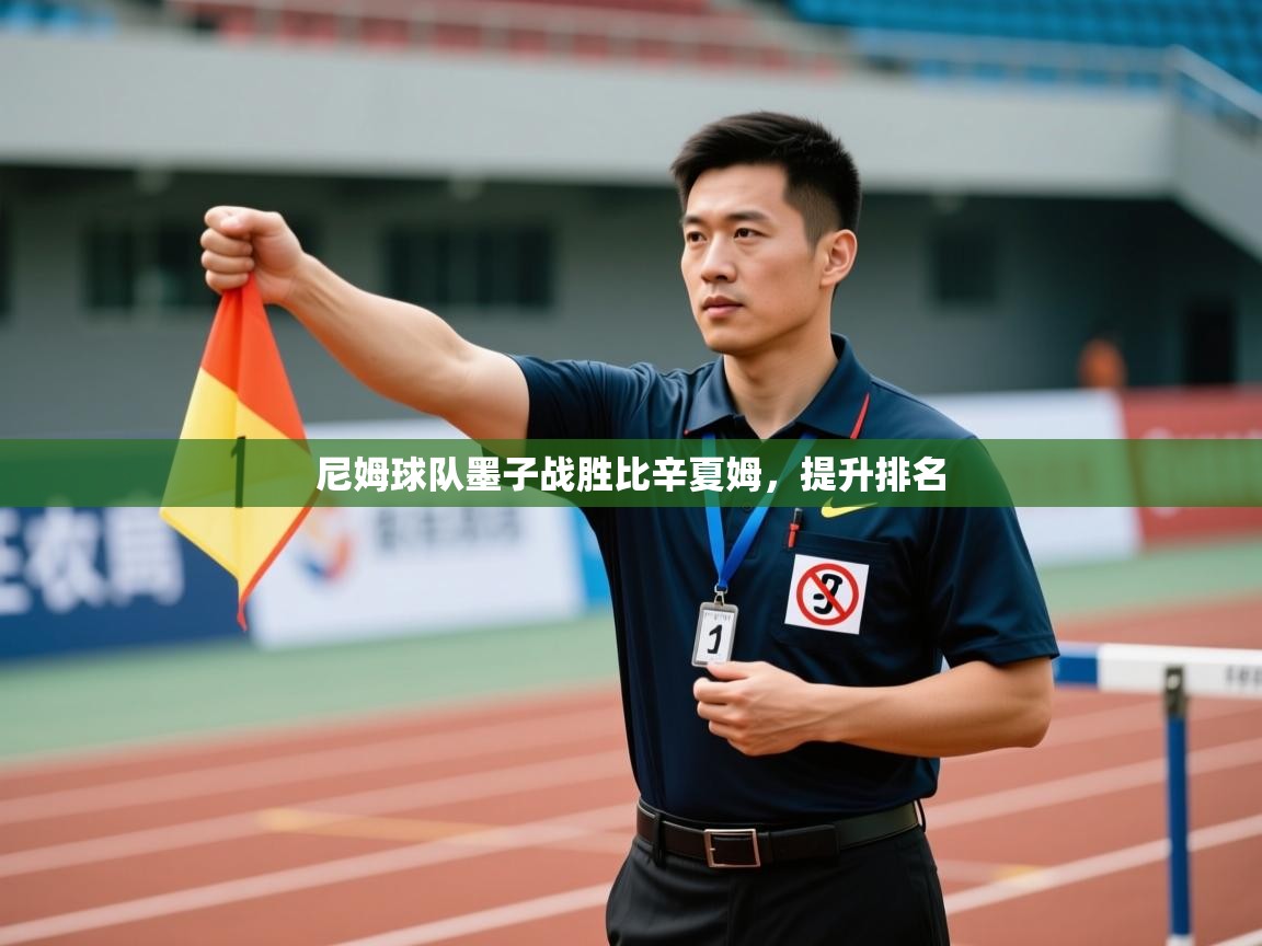 尼姆球队墨子战胜比辛夏姆，提升排名  第2张